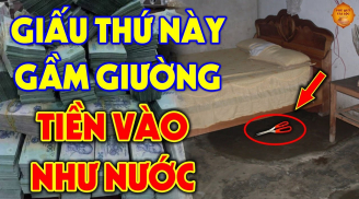 Đặt 3 thứ trong gầm giường tiền vào như nước, cả nhà tha hồ hưởng lộc to