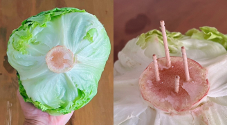 Mẹo bảo quản xà lách nhờ một que tăm, để cả tuần rau vẫn tươi rói