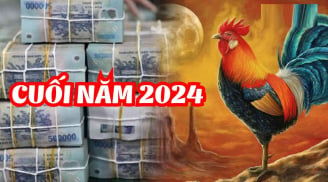 Số phận trêu ngươi: 2 tuổi 'đen như mực' cuối 2024, 2 tuổi ngồi không hưởng phước