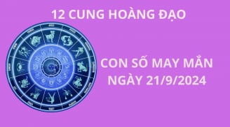 Tử vi ngày 21/9 những con số may mắn, số đẹp thu thút tài lộc giàu có cho 12 cung hoàng đạo