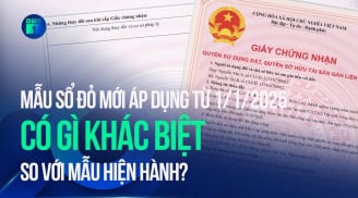 Kể từ 1/2025, có 3 trường hợp bắt buộc phải đổi sổ đỏ theo mẫu mới: Người dân cần biết