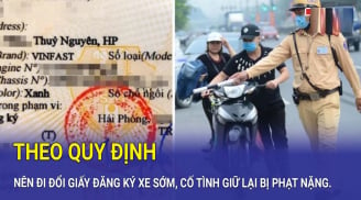 Từ nay tới 31/12/2024: Người dân không đi đổi giấy đăng ký xe có bị phạt 6-8 triệu không?