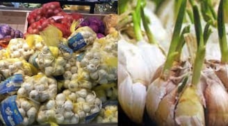Mẹo bảo quản hành tỏi không sợ mọc mầm, để vài tháng không móp