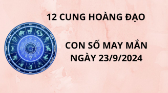 Tử vi ngày 23/9, số đẹp con số may mắn cho 12 cung hoàng đạo thu hút tài lộc rước nhiều vận may