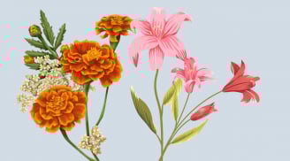 Những loài hoa đẹp nhưng bị kiêng kỵ không dâng thắp hương