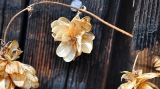 Tổ Tiên dặn cấm sai: 'Để 5 thứ này trong nhà, không tai họa liên miên cũng nợ nần kéo đến'