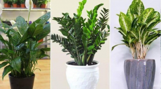 Tổ Tiên nói: 'Muốn hạnh phúc, bình an thì vào cửa 3 thấy, 4 không thấy', đó là những gì?