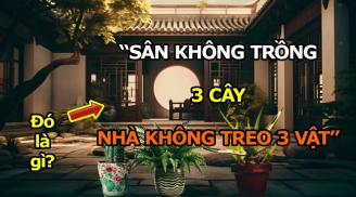 3 cây trồng ngoài sân mất của, 3 vật treo trong nhà tiền ra đi hết, là cây gì- vật gì?