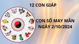 Tử vi ngày 2/10 chọn con số may mắn số đẹp cho 12 con giáp rước tài hút lộc giàu có