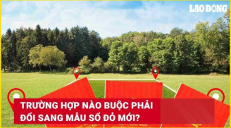 Các trường hợp bắt buộc phải đổi sang mẫu sổ đỏ mới kể từ 1/2025: Người dân cần lưu ý