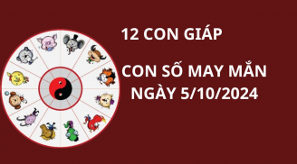 Tử vi ngày 5/10, con số may mắn giúp 12 con giáp gặp may mắn, chiêu tài hút lộc giàu có