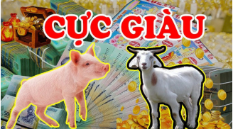 3 con giáp giàu số 2 không ai số 1 trong 3 tháng cuối cùng năm 2024: Đặc biệt vị trí thứ nhất
