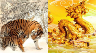 Phụ nữ thuộc 3 con giáp này là bà hoàng của sự giàu có, số Trời định sẵn khó thoát được