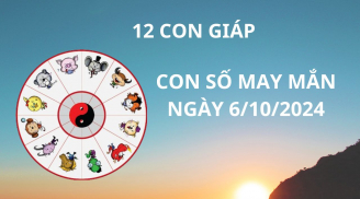 Tử vi ngày 6/10, con số may mắn chiêu tài hút lộc giúp 12 con giáp gặp thuận lợi làm giàu