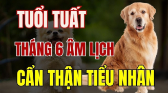 4 tháng sinh “khốn khổ nhất” đối với người tuổi Tuất, giàu có khó đến tay