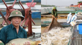 Nuôi loài đặc sản ‘to bự', từ hai bàn tay trắng, nông dân nhẹ nhàng thu về 10 tỷ đồng/năm