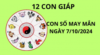 Tử vi ngày 7/10, chọn con số may mắn rước tài lộc cho 12 con giáp khởi sắc giàu sang