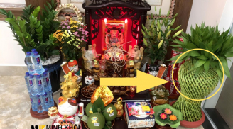 9 loài cây 'phát tài' đặt lên bàn thờ Chiêu Tài, Chiêu Báu: Chỉ cần 1 cây cũng đủ giàu sang nhiều đời