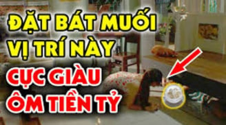 Đặt muối đúng vị trí này: Xua năng lượng tiêu cực, hút tài lộc thịnh vượng