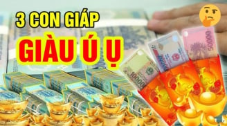 Top 3 tuổi giàu nhất Ất Tỵ 2025: Đặc biệt số 2 tiền chất như núi, giàu số 2 không ai số 1