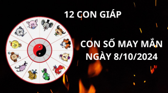 Tử vi ngày 8/10, con số may mắn chiêu tài hút lộc cho 12 con giáp khởi sự thành công