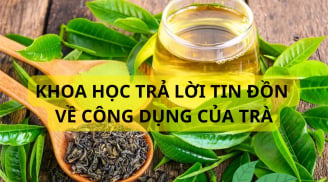 Uống trà hay không uống trà sẽ sống thọ hơn? Khoa học đã nghiên cứu và cho câu trả lời bất ngờ