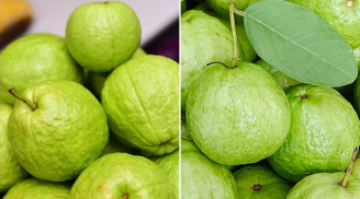 Mẹo chọn ổi giòn ngọt, ít hạt, không bị chát