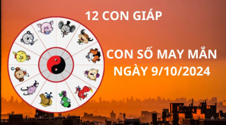 Tử vi ngày 9/10 cho 12 con giáp, chọn con số may mắn để bắt đầu ngày mới vui vẻ thành công