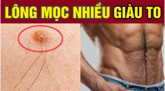 3 vị trí này mộc lông, ngồi không cũng có lộc: Chủ nhân chuẩn bị tinh thần đón vận may