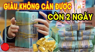 Còn 2 ngày nữa: 3 tuổi Phát Lộc Phát Tài, số 2 tiền chất như núi