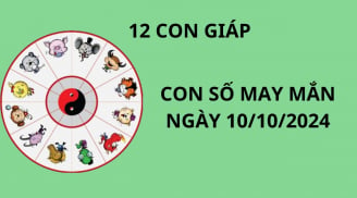 Tử vi ngày 10/10 con số may mắn số đẹp cho 12 con giáp thuận lợi giàu có tiền bạc, đong đầy tình cảm