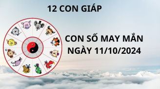 Tử vi ngày 11/10 con số may mắn cho 12 con giáp gặp thuận lợi phát tài