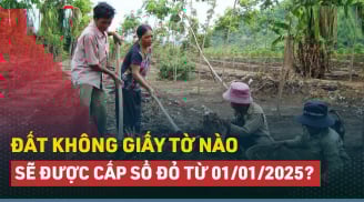 Sang đến 1/1/2025: Có 5 loại đất không giấy tờ sẽ được cấp sổ đỏ, là những loại nào?