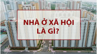 Từ 15/10/2024: Trường hợp này bị thu hồi NOXH ai cũng nên biết sớm kẻo mất quyền lợi