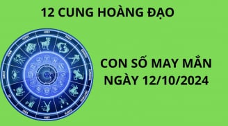 Tử vi ngày 12/10, con số may mắn cho 12 cung hoàng đạo