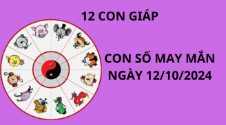 Tử vi ngày 12/10, con số may mắn số đẹp mang tài lộc giàu có cho 12 con giáp