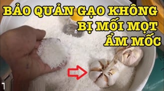 Vùi 1 củ tỏi vào thùng gạo, lợi ích quý hơn vàng, ai không biết quá phí