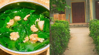 Cây dại ven đường thành đặc sản, chinh phục vị giác khó tính nhất, giá 50.000 đồng/kg