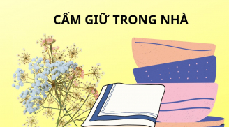 Thầy phong thủy nhắc: Vứt ngay 3 thứ này khỏi nhà thì phong thủy tốt lên, gia đình giàu có hạnh phúc