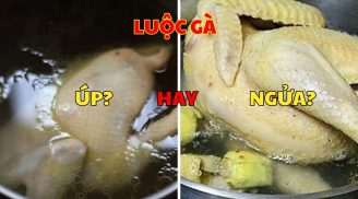 Luộc gà nên đặt úp hay ngửa mới đúng? 80% quen tay làm sai khiến gà mất ngon