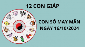 Tử vi ngày 16/10,con số may mắn mang lại tài lộc giàu có cho 12 con giáp thuận lợi 'đổi đời'