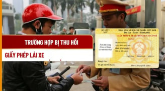 Từ 1/1/2025 sẽ có 3 trường hợp bị thu hồi Giấy phép lái xe, là trường hợp nào?