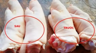 Mua chân giò trước hay chân giò sau ngon hơn? Sự thật 90 % không biết câu trả lời