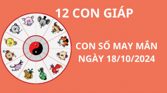 Tử vi ngày 18/10, con số may mắn rước lộc giàu có cho 12 con giáp thuận lợi làm ăn, gặt hái thành công