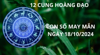 Tử vi ngày 18/10, con số may mắn số đẹp mang lại cơ hội phát tài giàu có cho 12 cung hoàng đạo