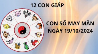 Tử vi ngày 19/10, thần tài chỉ điểm con số may mắn cho 12 con giáp thuận lợi phất lên trông thấy
