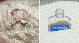 Cho thứ này vào thùng gạo, cả năm không sợ mọt đến phá