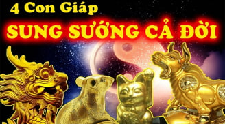 Nửa đầu tháng 11 Dương lịch: 4 tuổi 'lên hương' Tiền - Tài, cả đời sung sướng