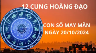 Tử vi ngày 20/10, con số may mắn cát tinh chiếu rọi cho 12 cung hoàng đạo