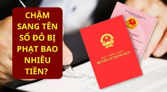 Kể từ nay, chậm đăng ký biến động đất đai, chậm sang tên sổ đỏ sẽ bị phạt rất nhiều tiền